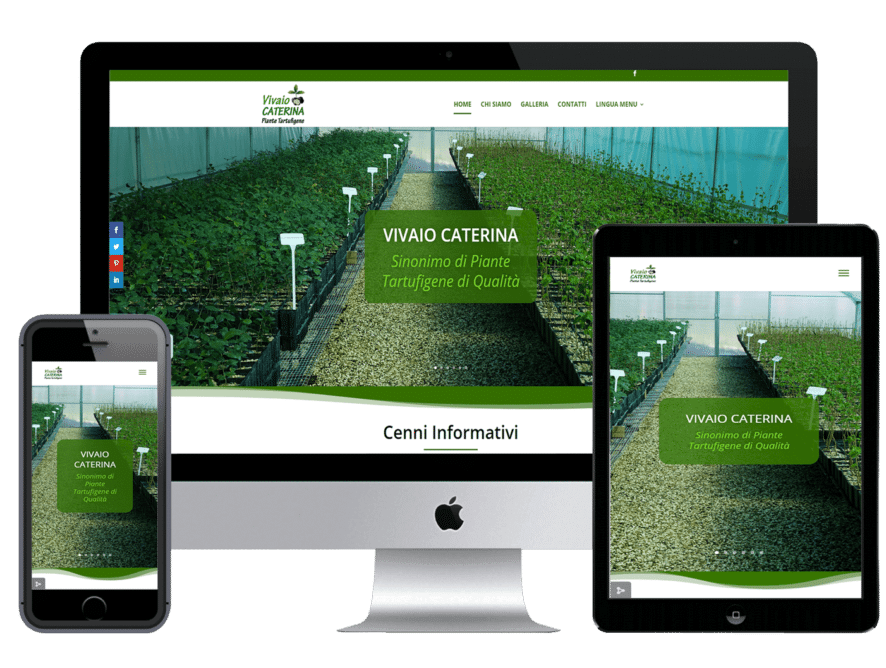 Realizzazione sito web per vivaio Caterina